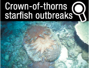 The Crown-of-Thorns Starfish outbreak